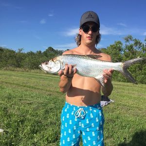 Meet your Posher, Logan